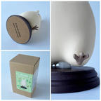 Studio Ghibli My Neighbor Totoro Small Totoro Walking Story Collection Figure