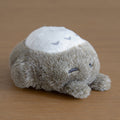 Studio Ghibli My Neighbour Totoro Sleeping Big Totoro Soft Otedama Plush 11cm K-9035