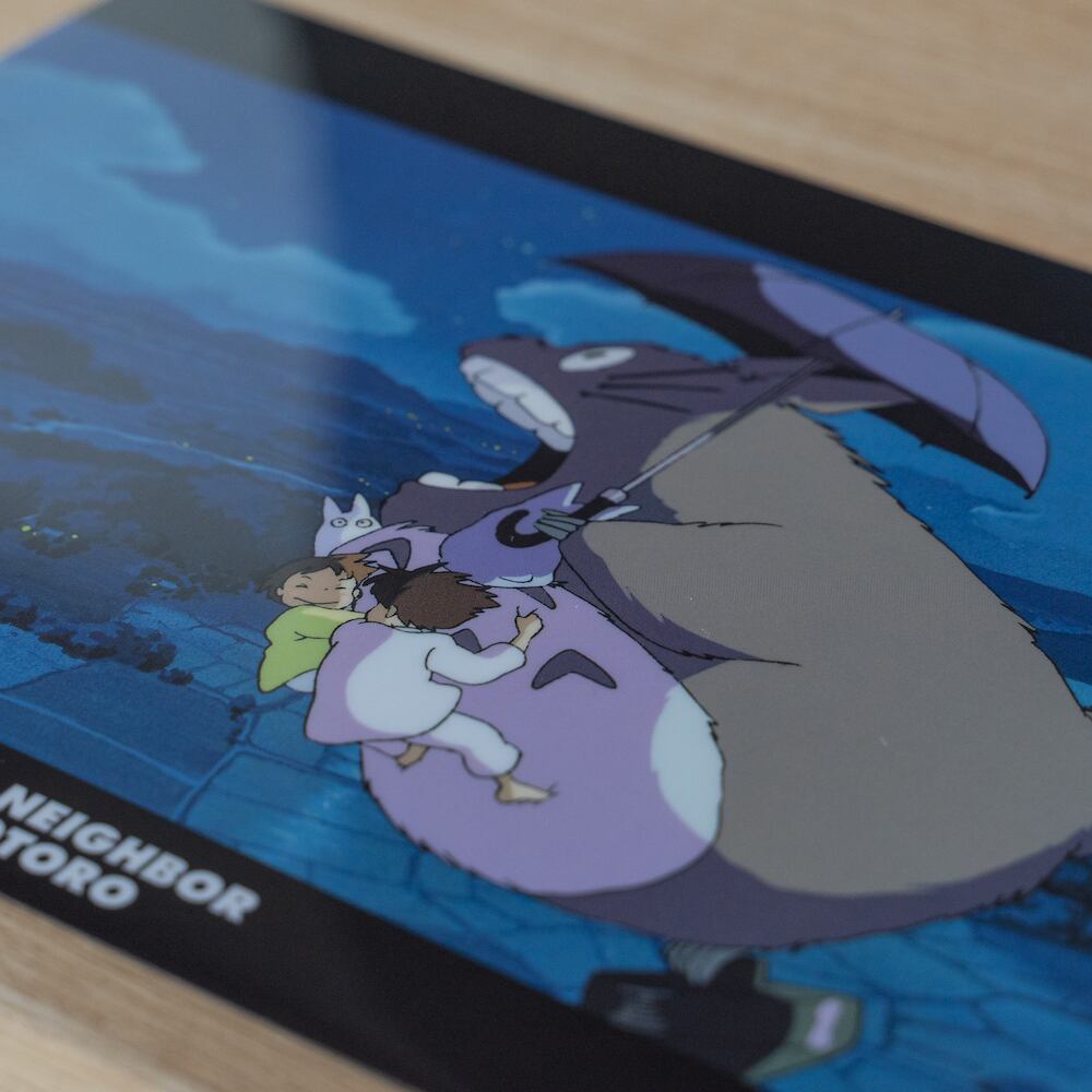 Studio Ghibli My Neighbour Totoro Night Sky Walk A4 Clear File