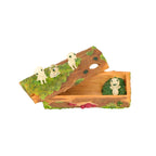 Studio Ghibli Princess Mononoke – Kodama “Little Rest” Accessory Box
