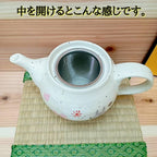 Studio Ghibli My Neighbor Totoro  Mino Ware Ceramic Teapot Made in Japan