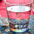 Studio Ghibli Howl’s Moving Castle Magical Disc Glass A 270ml Japan Exclusive