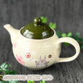 Studio Ghibli My Neighbor Totoro  Mino Ware Ceramic Teapot Made in Japan