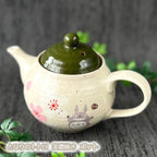 Studio Ghibli My Neighbor Totoro  Mino Ware Ceramic Teapot Made in Japan
