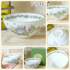 Studio Ghibli Noritake Totoro Bowl Karasunoendou Yamanoimo Design Bone China