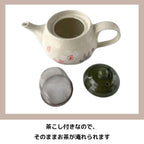 Studio Ghibli My Neighbor Totoro  Mino Ware Ceramic Teapot Made in Japan