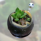 Studio Ghibli Princess Mononoke Kodama Gajumaru Forest Herb Rare Collectable