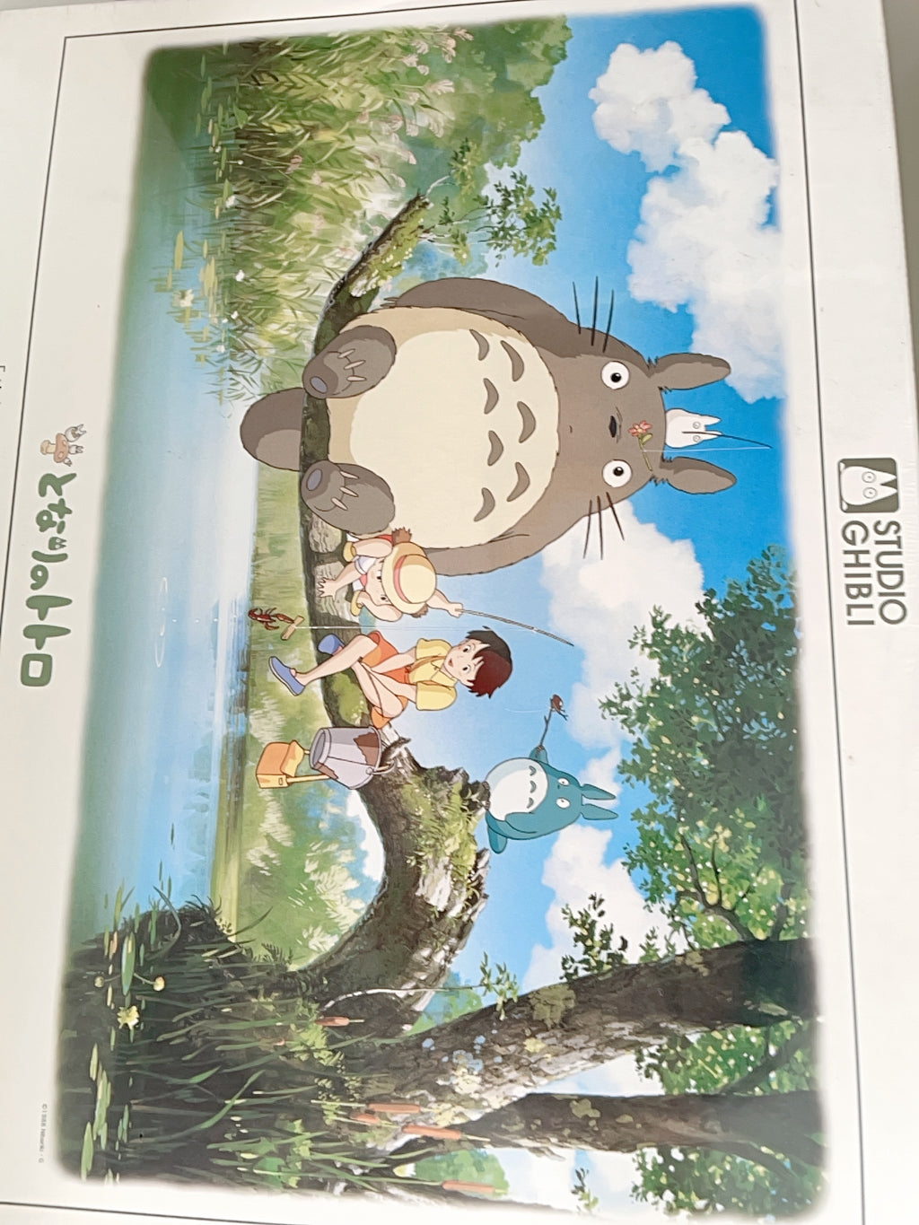 Studio Ghibli My Neighbor Totoro What Will We Catch 1000 Piece Jigsaw Puzzle Ensky