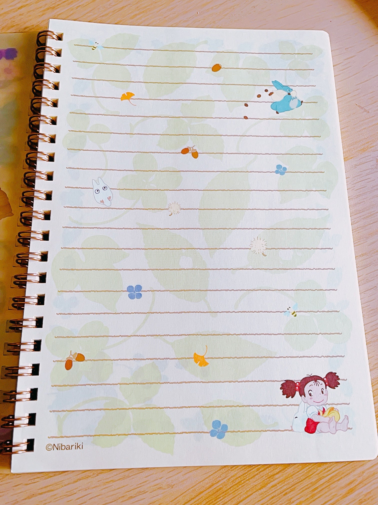 Studio Ghibli My Neighbour Totoro Clover A5 Spiral Notebook with Clear Pocket