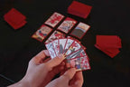 Studio Ghibli Spirited Away Hanafuda Japanese Playing Cards 48 Card Set